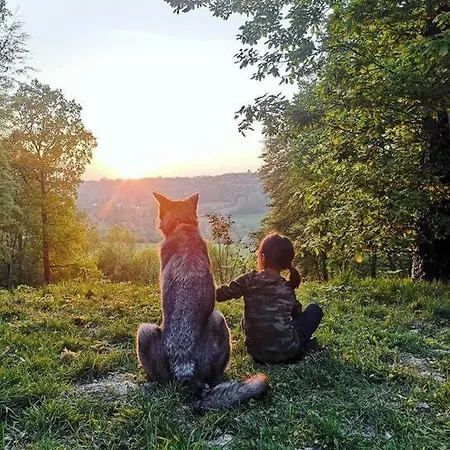 Prázdninový dům Maison Canadienne Dans La Foret *