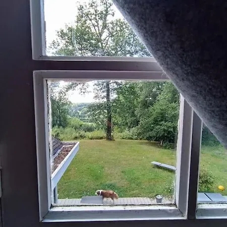 Maison Canadienne Dans La Foret *