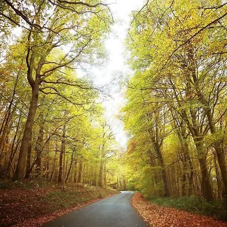 Maison Canadienne Dans La Foret Prázdninový dům Tourville-sur-Pont-Audemer