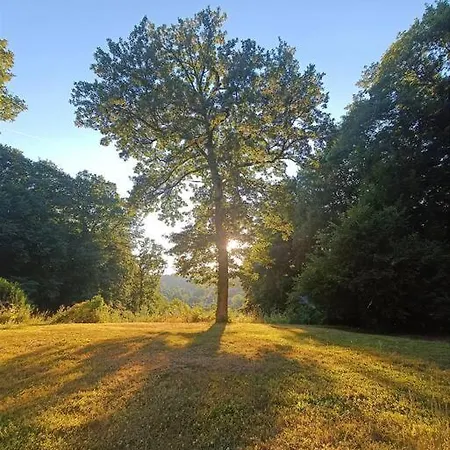 Maison Canadienne Dans La Foret
