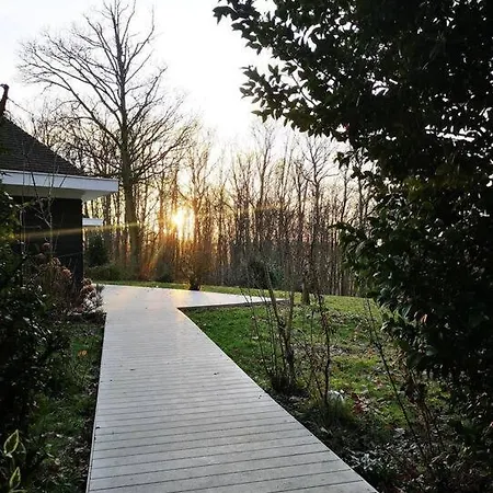 Maison Canadienne Dans La Foret *